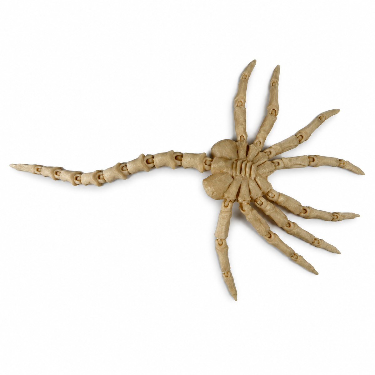 Aliens Articulated Facehugger Medium Skin Tan 3D Printed Cosplay Prop Kit