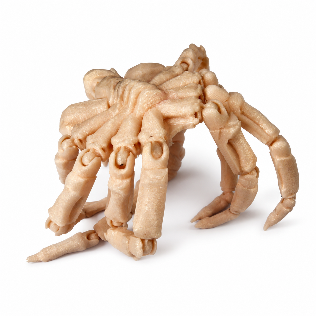 Aliens Articulated Facehugger Medium Skin Tan 3D Printed Cosplay Prop Kit