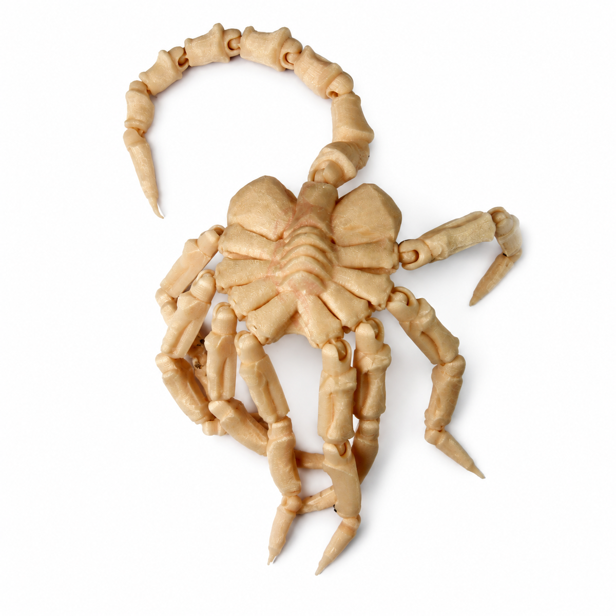 Aliens Articulated Facehugger Medium Skin Tan 3D Printed Cosplay Prop Kit