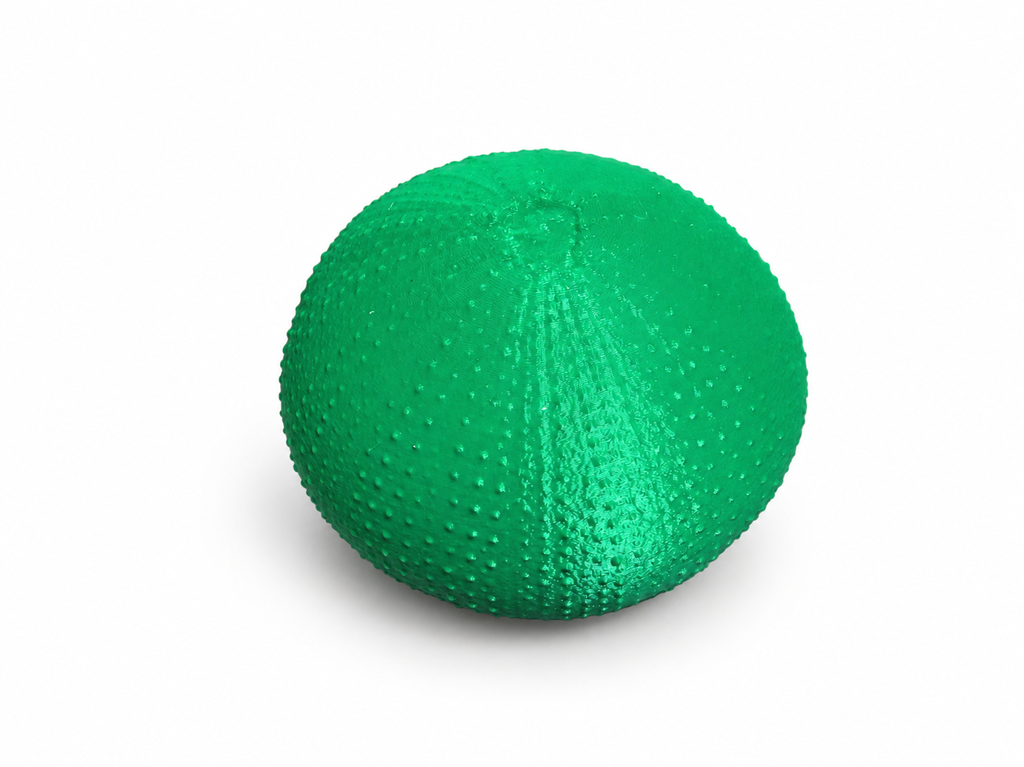 Star Wars Book of Boba Fett Black Melon Green 15cm 3D Printed Prop